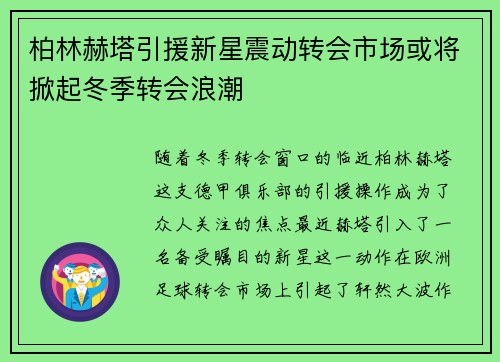 柏林赫塔引援新星震动转会市场或将掀起冬季转会浪潮 柏林赫塔引援新星震动转会市场或将掀起冬季转会浪潮