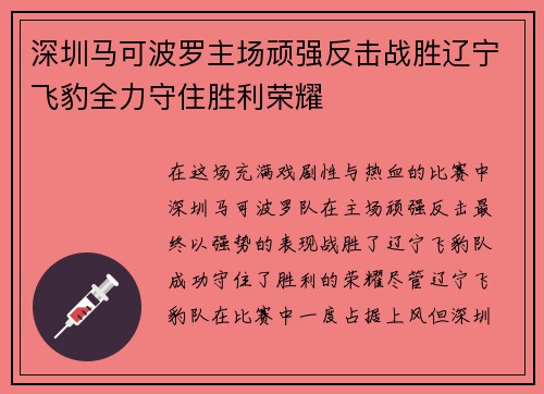 深圳马可波罗主场顽强反击战胜辽宁飞豹全力守住胜利荣耀