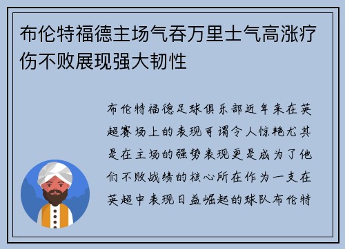 布伦特福德主场气吞万里士气高涨疗伤不败展现强大韧性 布伦特福德主场气吞万里士气高涨疗伤不败展现强大韧性